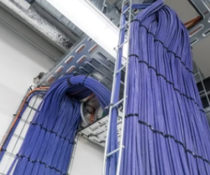 Image of Backbone Structured Cabling